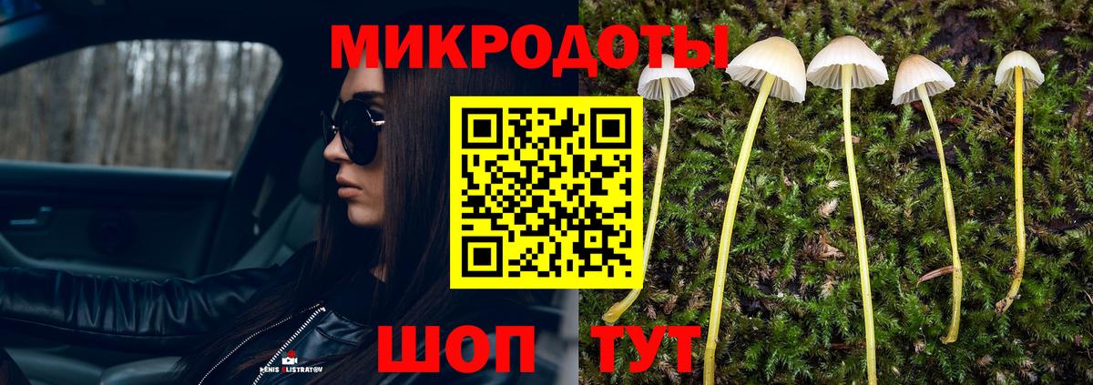 Псилоцибиновые грибы ЛСД Малгобек