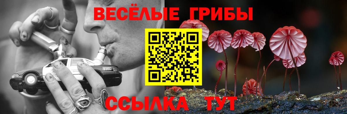 Малгобек  Галлюциногенные грибы мухоморы  Вход с VPN 